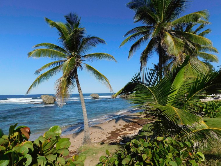 Barbados 3