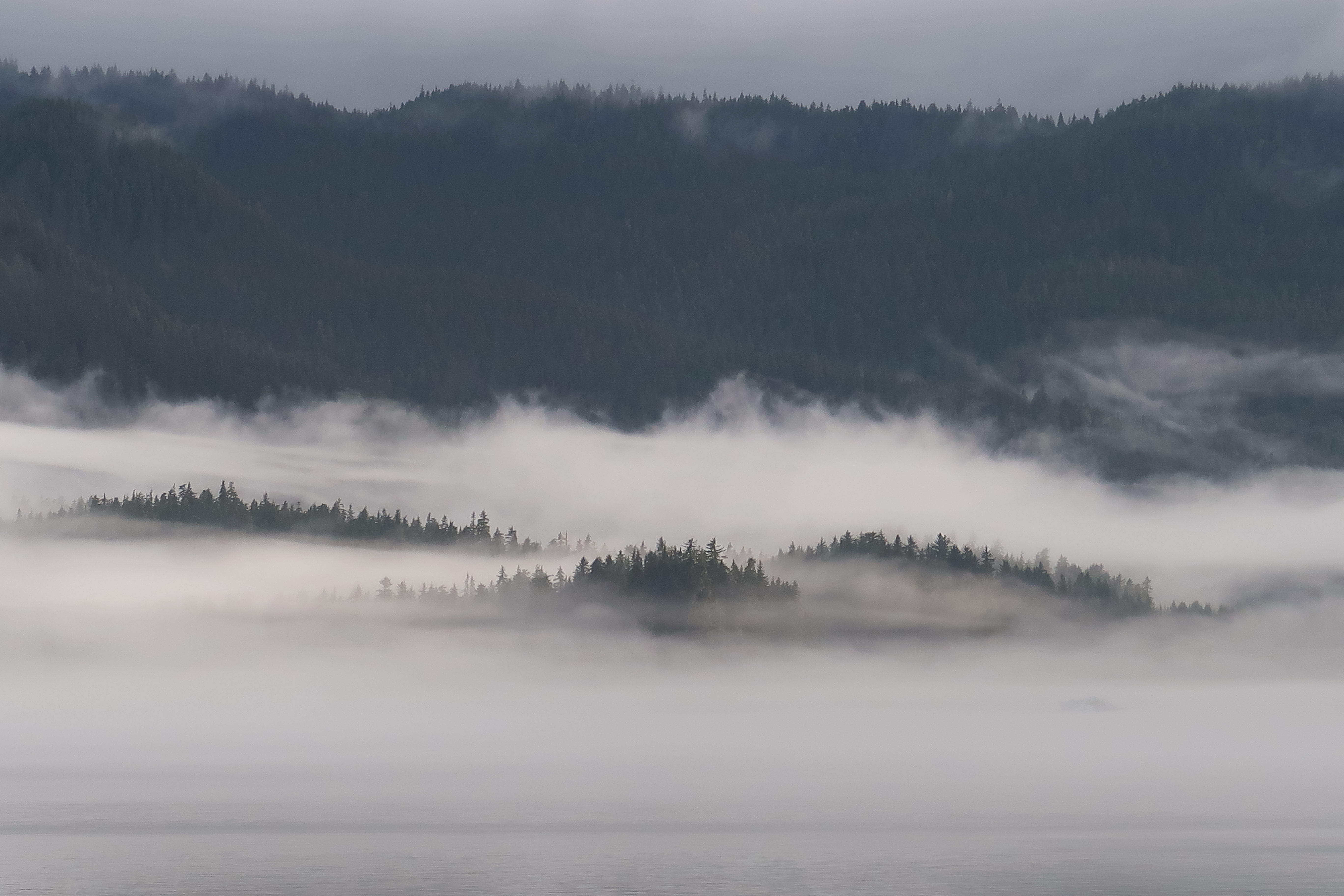 alaskainsidepassageviews