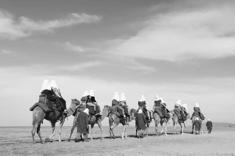 camel riding cabo san Lucas black white