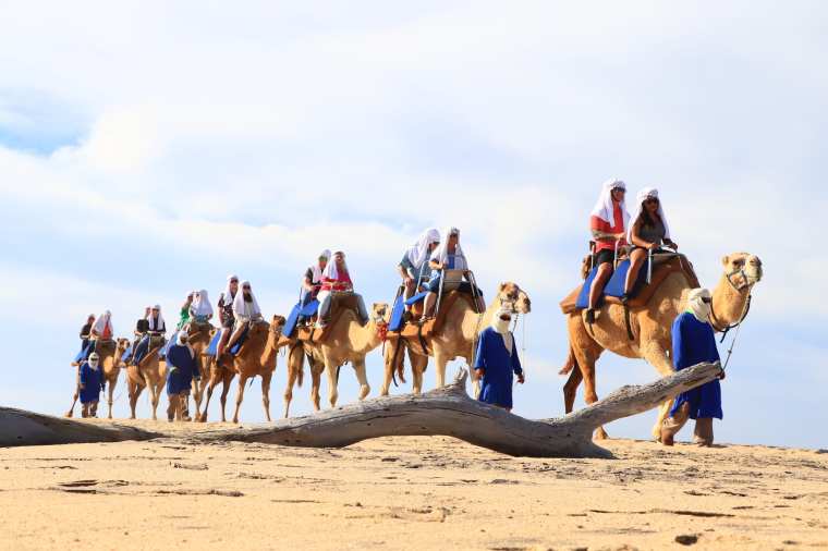camel riding cabo san Lucas