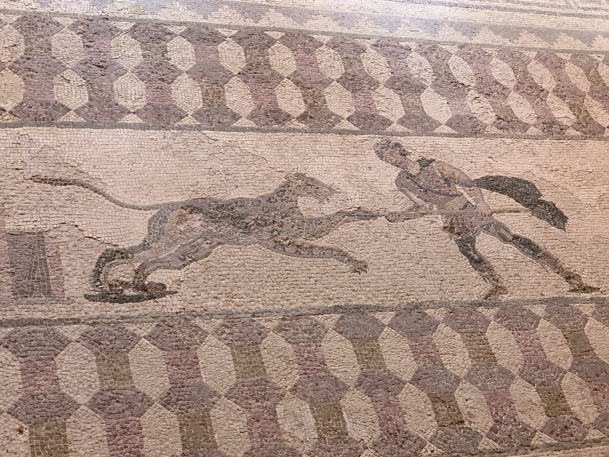 cyprusromanarchaeolo