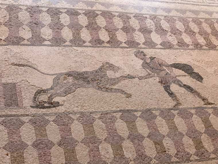 cyprusromanarchaeolo