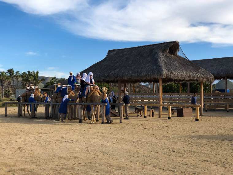 camel riding ranch